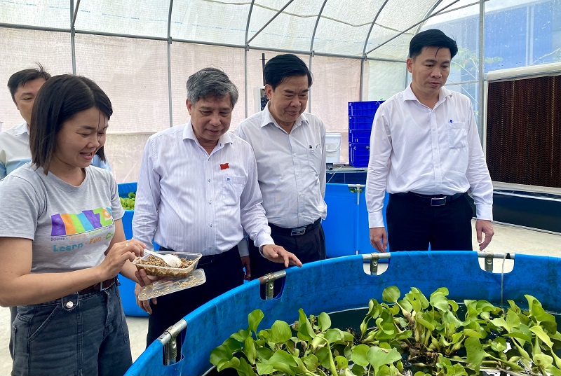Doanh nghiệp – trung tâm động lực phát triển thị trường khoa học và công nghệ Cần Thơ