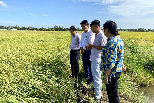 Cần Thơ: Phát huy nguồn lực viện, trường để đưa công nghệ vào thực tiễn